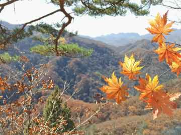 南通監(jiān)控鎖訂制與鄭州大石橋最新進(jìn)展深度解析