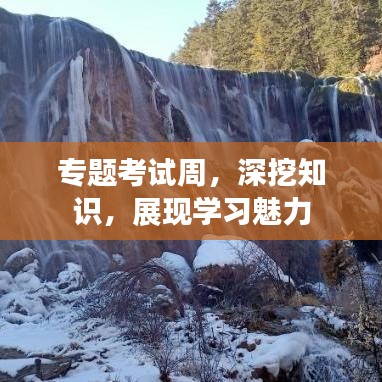 專題考試周，深挖知識，展現(xiàn)學(xué)習(xí)魅力