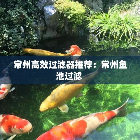 千斤頂 第123頁(yè)