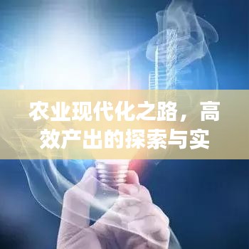 農業(yè)現代化之路，高效產出的探索與實踐