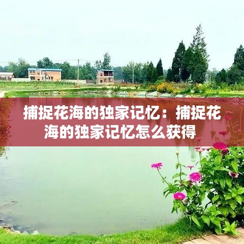 氣囊 第117頁