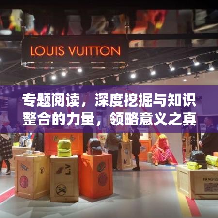 專題閱讀，深度挖掘與知識整合的力量，領略意義之真諦