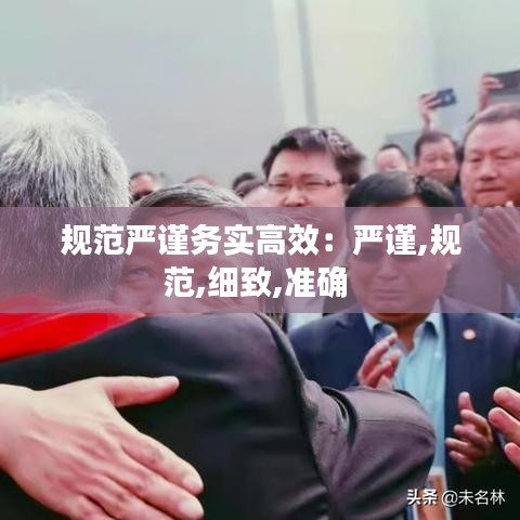 規(guī)范嚴(yán)謹(jǐn)務(wù)實高效：嚴(yán)謹(jǐn),規(guī)范,細(xì)致,準(zhǔn)確 