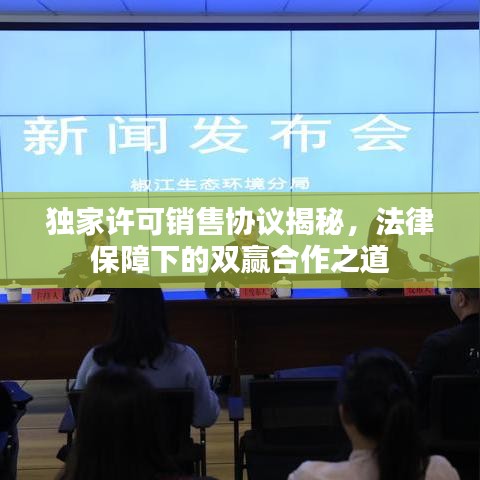 獨家許可銷售協(xié)議揭秘，法律保障下的雙贏合作之道