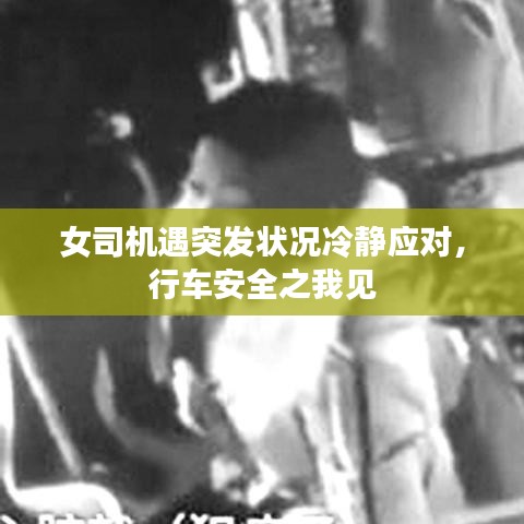 女司機遇突發(fā)狀況冷靜應對，行車安全之我見