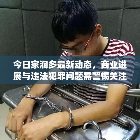 今日家潤多最新動態(tài)，商業(yè)進(jìn)展與違法犯罪問題需警惕關(guān)注