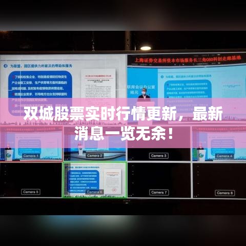 雙城股票實時行情更新，最新消息一覽無余！