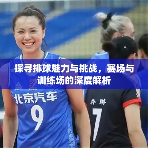 探尋排球魅力與挑戰(zhàn)，賽場(chǎng)與訓(xùn)練場(chǎng)的深度解析