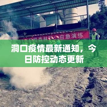 洞口疫情最新通知，今日防控動(dòng)態(tài)更新