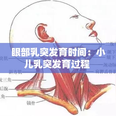 氣囊 第111頁
