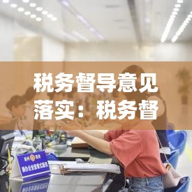 稅務(wù)督導意見落實：稅務(wù)督查工作方式 