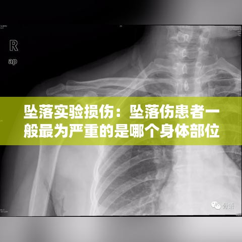 走馬章臺(tái) 第3頁(yè)