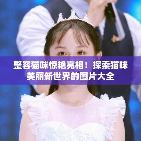 整容貓咪驚艷亮相！探索貓咪美麗新世界的圖片大全