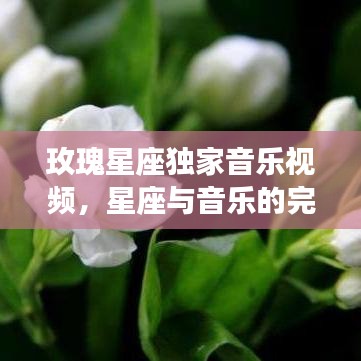 玫瑰星座獨(dú)家音樂視頻，星座與音樂的完美交融
