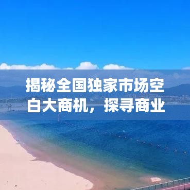揭秘全國(guó)獨(dú)家市場(chǎng)空白大商機(jī)，探尋商業(yè)新藍(lán)海，開啟財(cái)富大門！