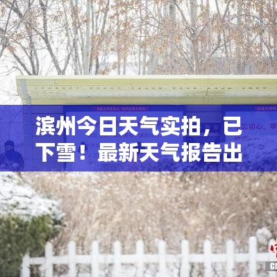 一言九鼎 第3頁(yè)