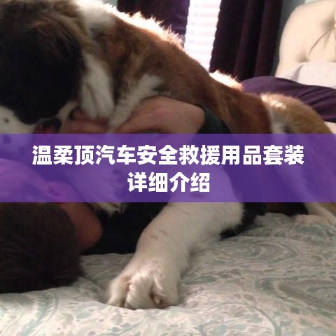 森久 第10頁(yè)