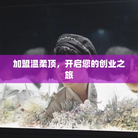 加盟溫柔頂，創(chuàng)業(yè)啟程啟航