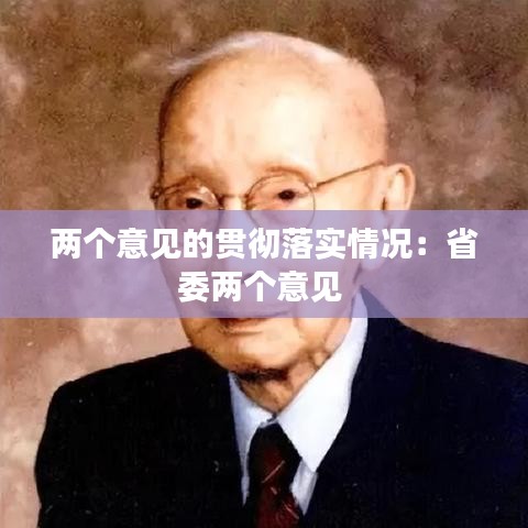 兩個(gè)意見的貫徹落實(shí)情況：省委兩個(gè)意見 