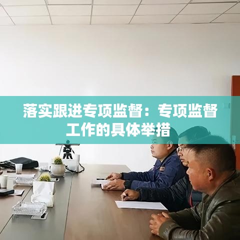 落實跟進(jìn)專項監(jiān)督：專項監(jiān)督工作的具體舉措 