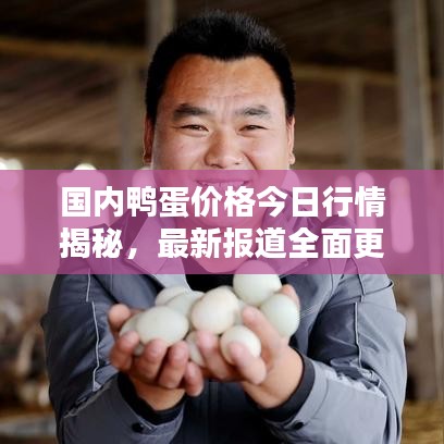 國內(nèi)鴨蛋價格今日行情揭秘，最新報道全面更新