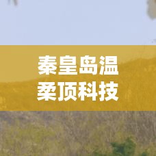 秦皇島溫柔頂科技榮獲創(chuàng)新獎(jiǎng)，引領(lǐng)行業(yè)潮流，鑄就典范地位