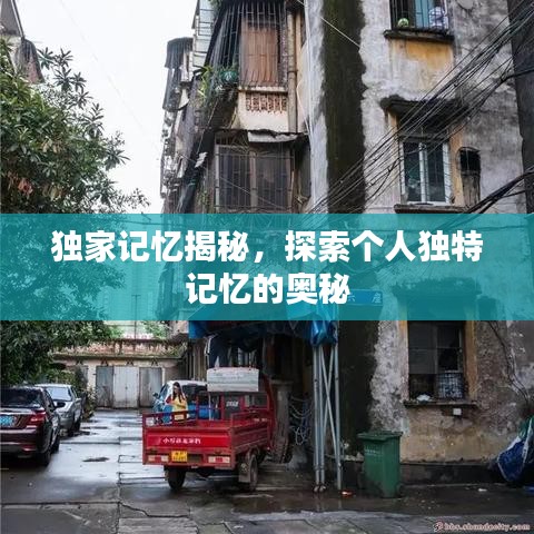 獨家記憶揭秘，探索個人獨特記憶的奧秘