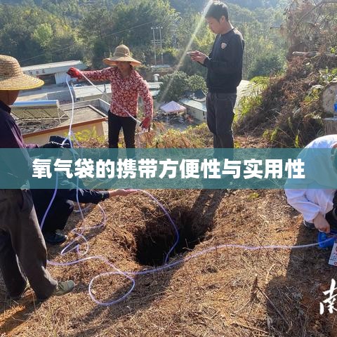 氧氣袋便攜實用，應急醫(yī)療好幫手