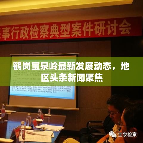 鶴崗寶泉嶺最新發(fā)展動態(tài)，地區(qū)頭條新聞聚焦