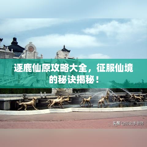逐鹿仙原攻略大全，征服仙境的秘訣揭秘！
