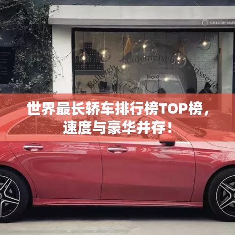 發(fā)硎新試 第3頁