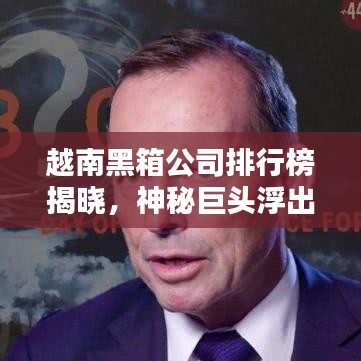 越南黑箱公司排行榜揭曉，神秘巨頭浮出水面