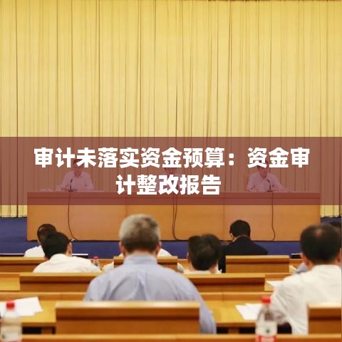 審計未落實資金預(yù)算：資金審計整改報告 