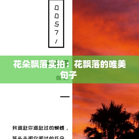 花朵飄落實拍：花飄落的唯美句子 