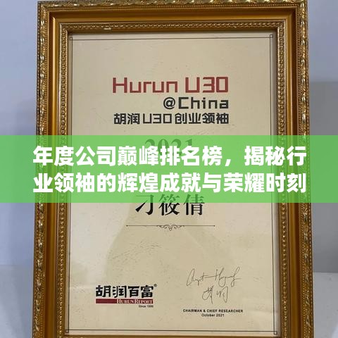 年度公司巔峰排名榜，揭秘行業(yè)領袖的輝煌成就與榮耀時刻