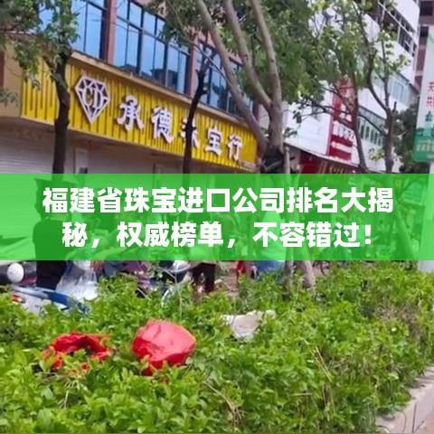 福建省珠寶進口公司排名大揭秘，權(quán)威榜單，不容錯過！