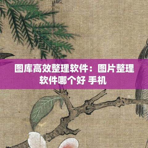 圖庫高效整理軟件：圖片整理軟件哪個(gè)好 手機(jī) 