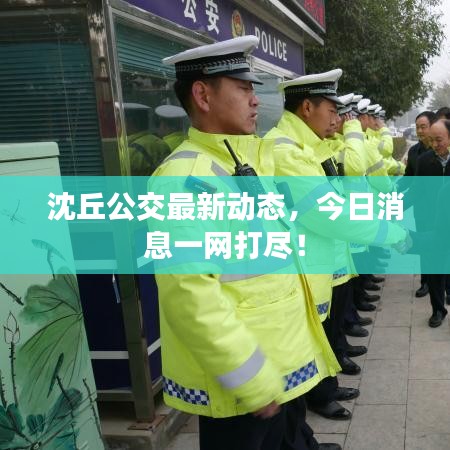 沈丘公交最新動態(tài)，今日消息一網打盡！