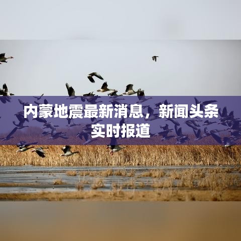 內(nèi)蒙地震最新消息，新聞?lì)^條實(shí)時(shí)報(bào)道
