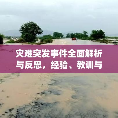 災(zāi)難突發(fā)事件全面解析與反思，經(jīng)驗、教訓(xùn)與應(yīng)對策略