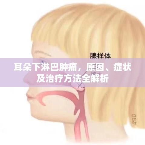 耳朵下淋巴腫痛，原因、癥狀及治療方法全解析