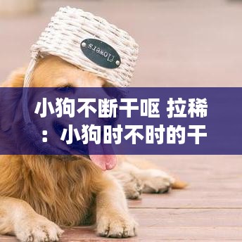 小狗不斷干嘔 拉?。盒」窌r(shí)不時(shí)的干嘔但吃喝拉撒正常 