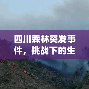 張燈結(jié)彩 第3頁(yè)