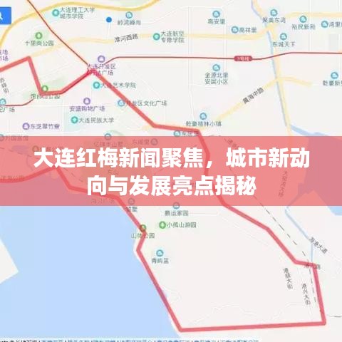 大連紅梅新聞聚焦，城市新動(dòng)向與發(fā)展亮點(diǎn)揭秘