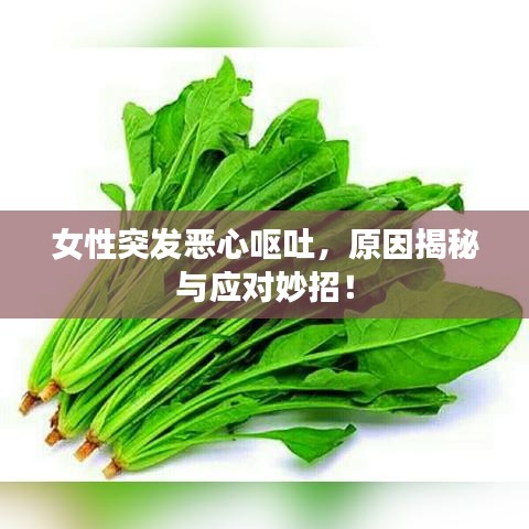 女性突發(fā)惡心嘔吐，原因揭秘與應對妙招！