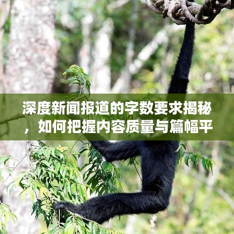 深度新聞報道的字數(shù)要求揭秘，如何把握內(nèi)容質(zhì)量與篇幅平衡？