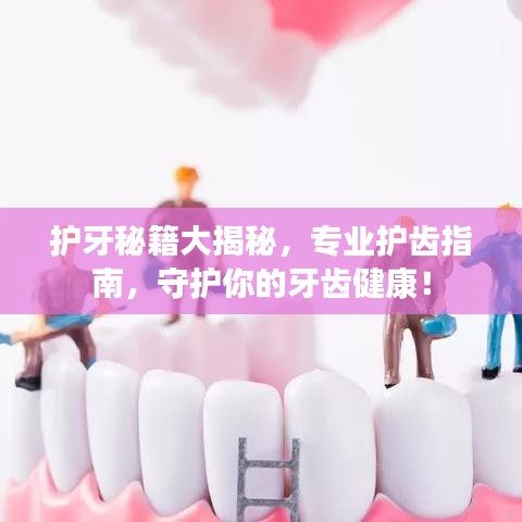 護(hù)牙秘籍大揭秘，專業(yè)護(hù)齒指南，守護(hù)你的牙齒健康！