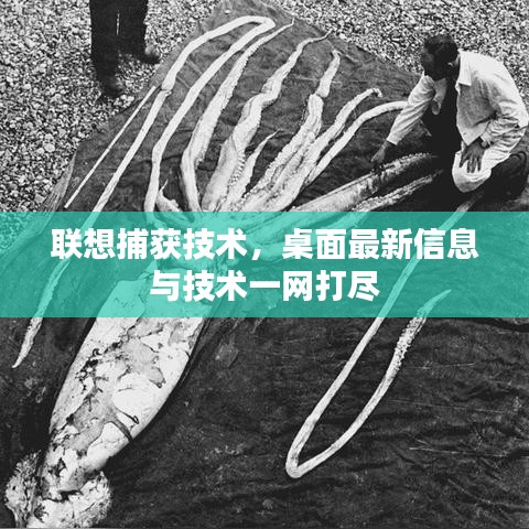 聯(lián)想捕獲技術(shù)，桌面最新信息與技術(shù)一網(wǎng)打盡
