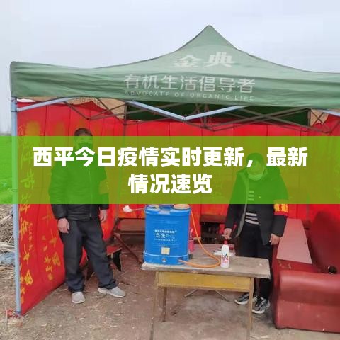 西平今日疫情實(shí)時(shí)更新，最新情況速覽