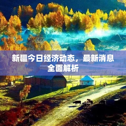 新疆今日經(jīng)濟(jì)動(dòng)態(tài)，最新消息全面解析
